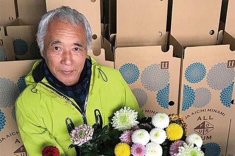 sugiharasan_kiku (1)-thumb-